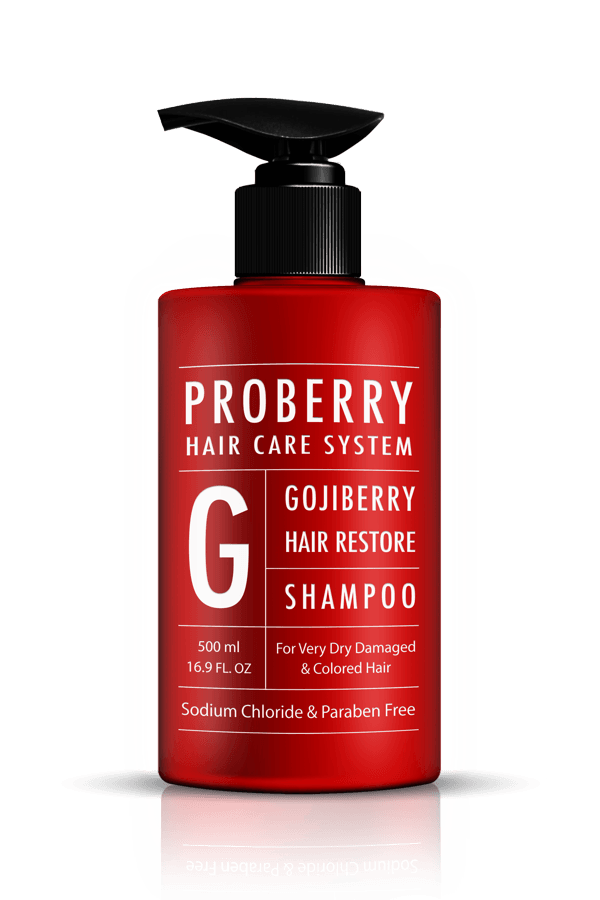 פרוברי מארז ריסטור